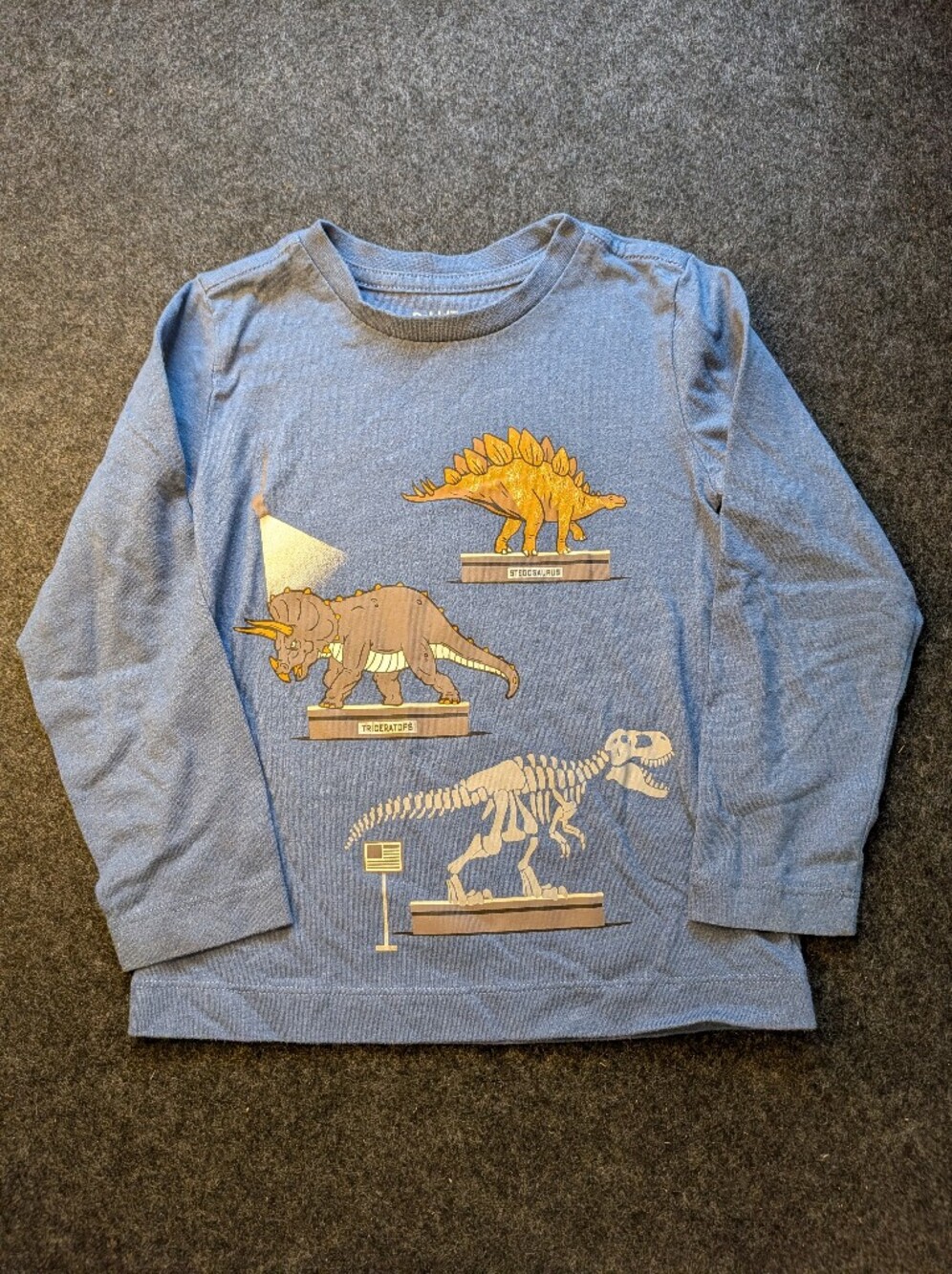 Pekkle Boys Dinosaur Long Sleeve Tee